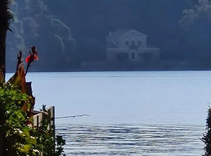 Apartment The House *